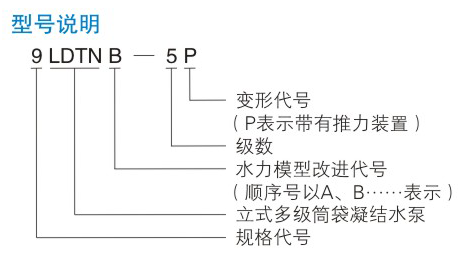 LDTN型凝結(jié)水泵型號說明